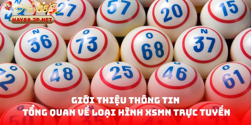 Giới thiệu thông tin tổng quan về loại hình XSMN trực tuyến